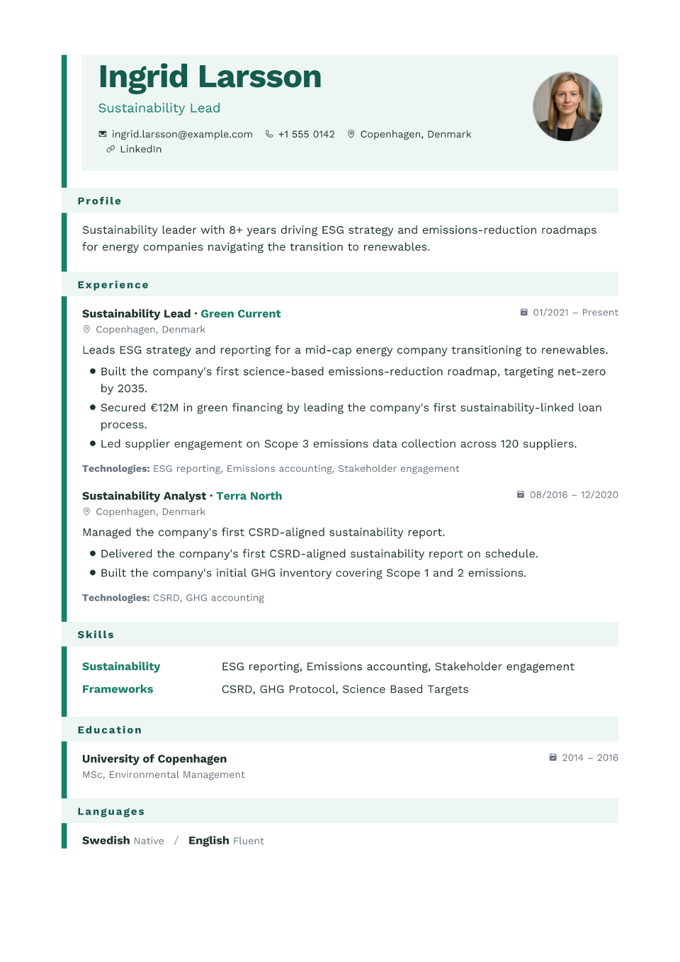 Account Executive resume example preview